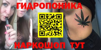 Альфа ПВП Лесосибирск