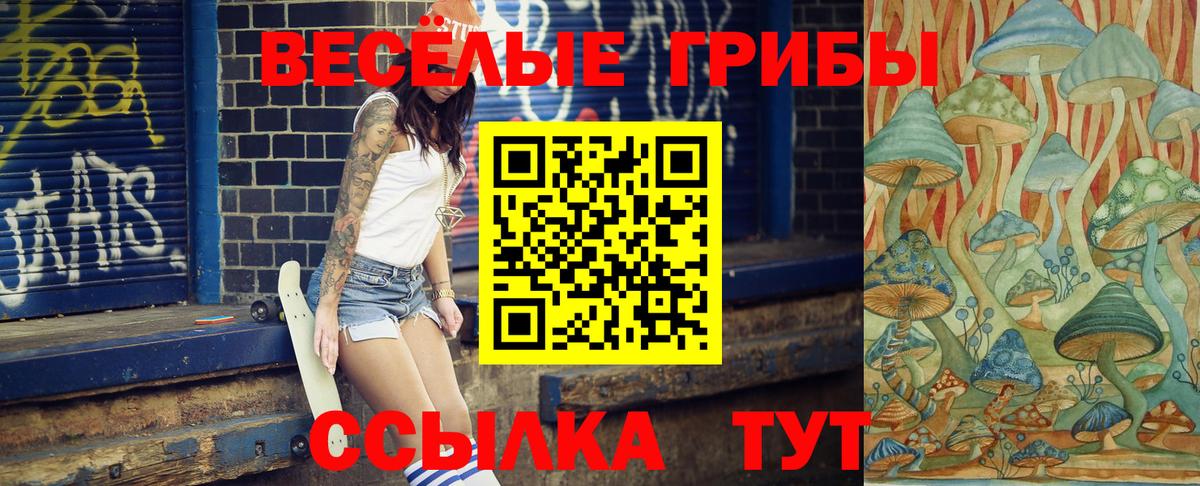 Галлюциногенные грибы мицелий Екатеринбург