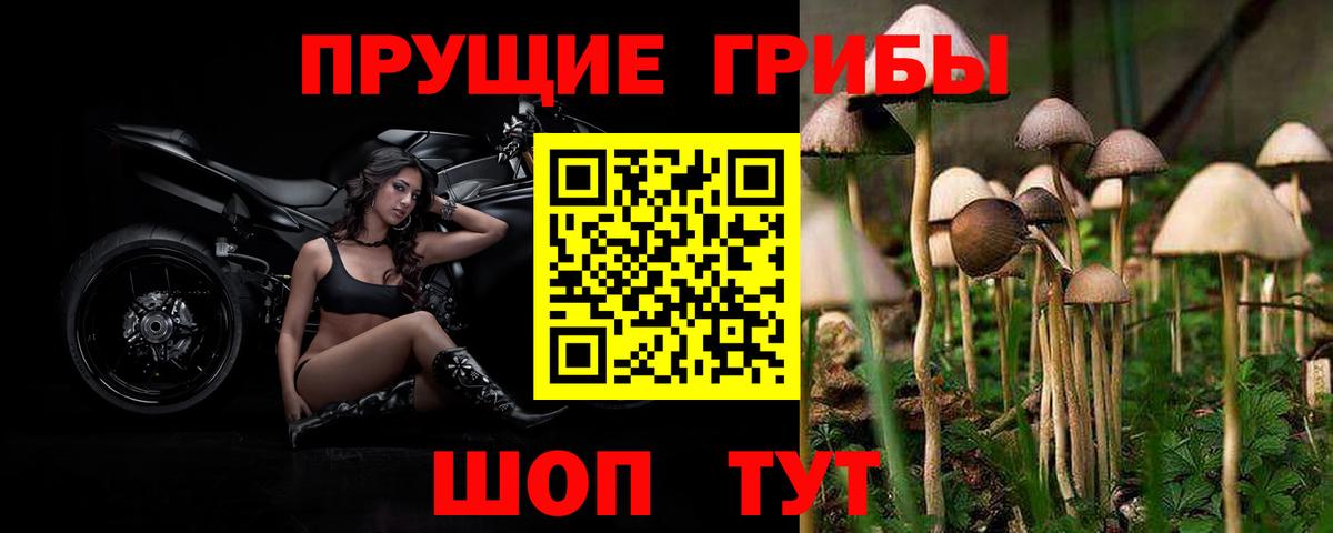Галлюциногенные грибы Psilocybine cubensis  Вход с VPN  наркота  Екатеринбург 